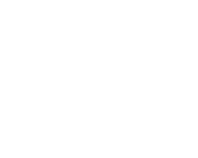 speed-icon